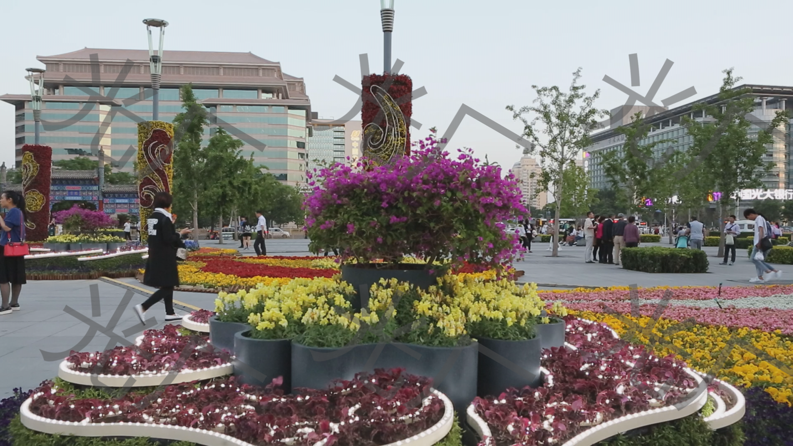 城市花坛空镜_1920x1080_高清视频素材下载(编号:2096330)_实拍视频